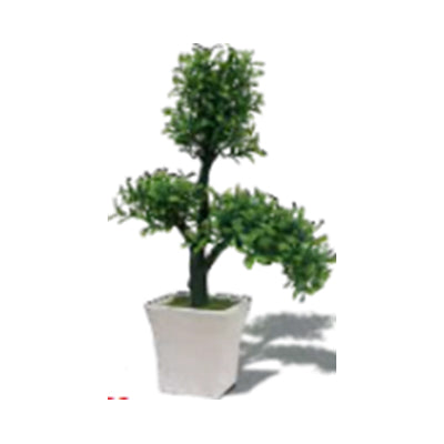 ARBOL BONSAI EN MACETA DE CERAMICA