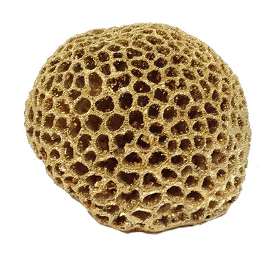 Coral Bola Oro